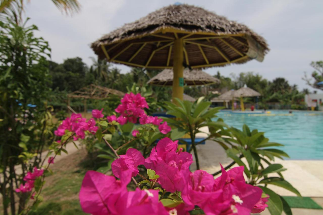 Sweetwater Resort Zamboanguita  Extérieur photo